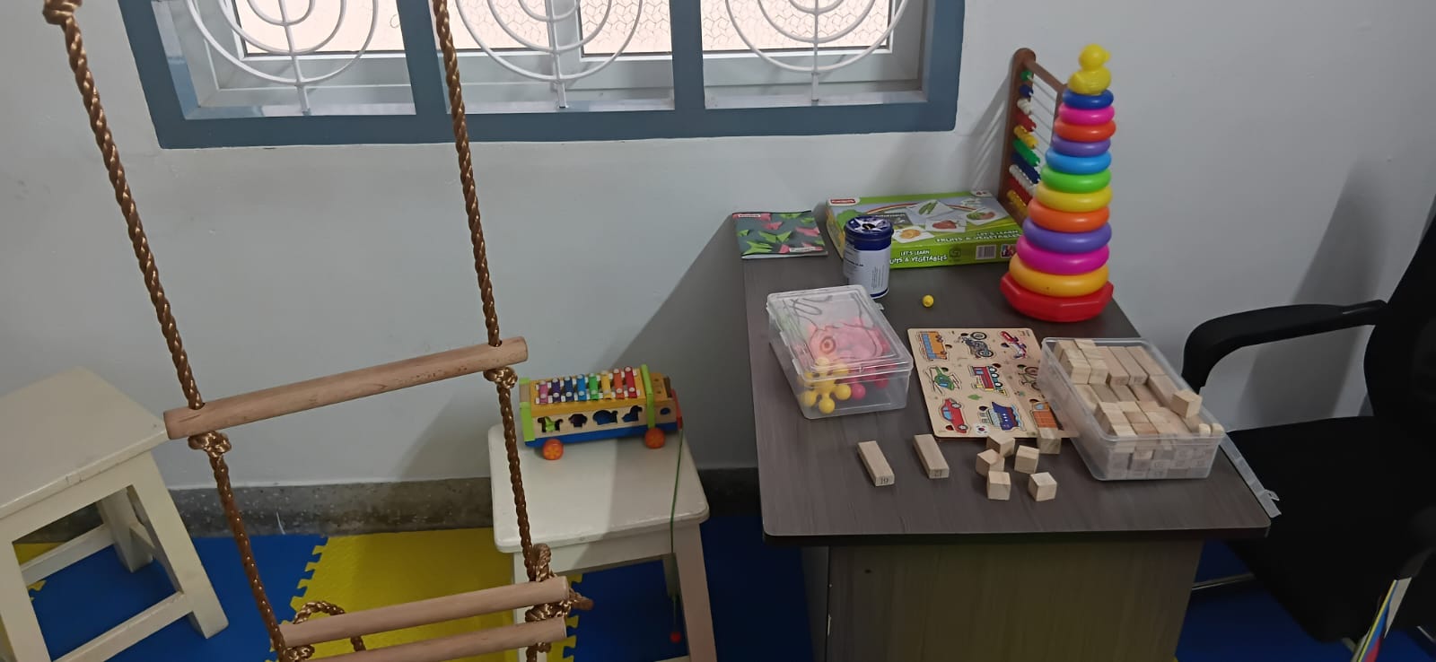 Developmental Neurology